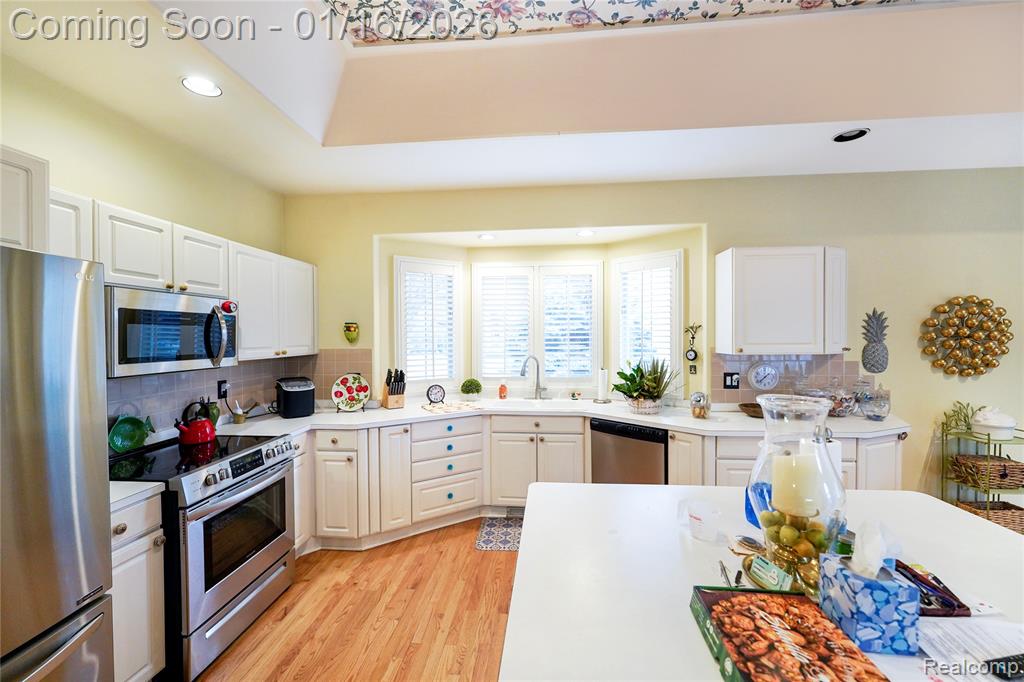 47343 Rail Drive, Shelby Twp, MI 48315 — Photo 11
