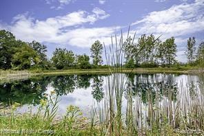 4894 Indian Creek Drive, Jackson, MI 49201 — Photo 10