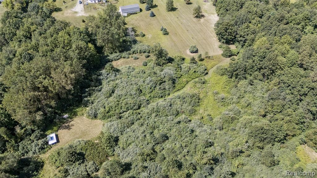 11040 Grams Road, Maybee, MI — Photo 57
