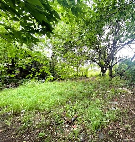5014 Townsend Street, Detroit, MI 48213 — Photo 17