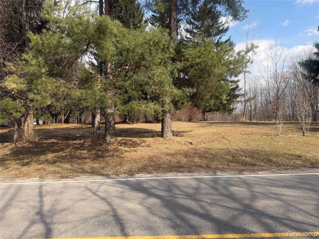 V/L Fulton, Mayville Vlg, MI 48744 — Photo 33