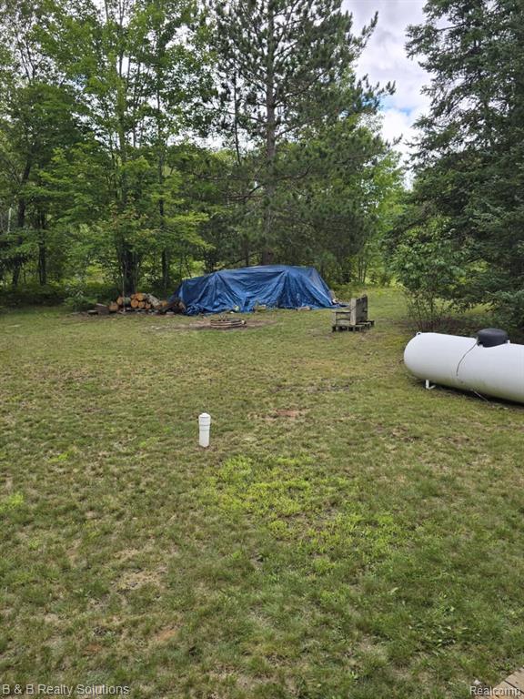 6961 PINEVIEW Drive, Mancelona, MI 49659 — Photo 22