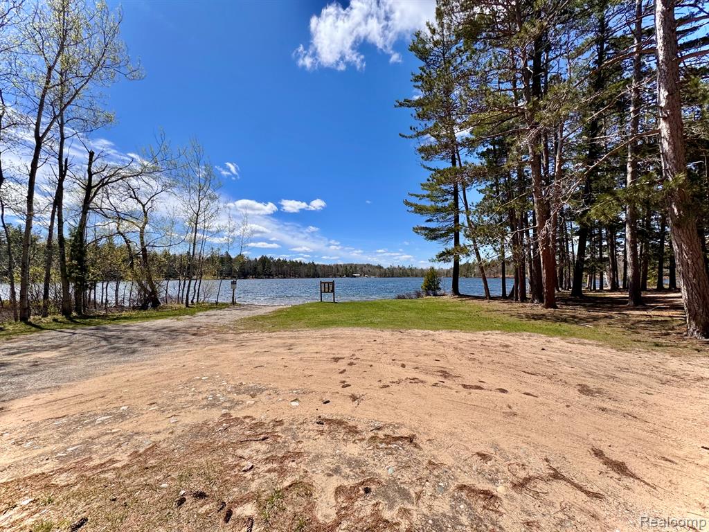 10931 ROBERTS RD N, Frederic, MI 49733 — Photo 32