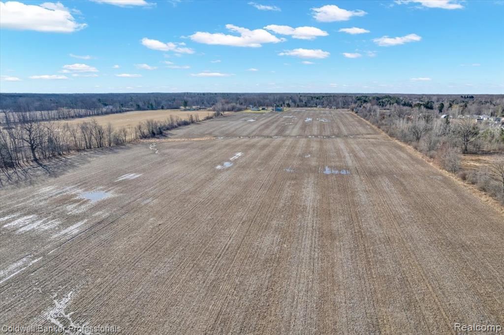 7410 Wilson Road, Montrose, MI 48457 — Photo 37