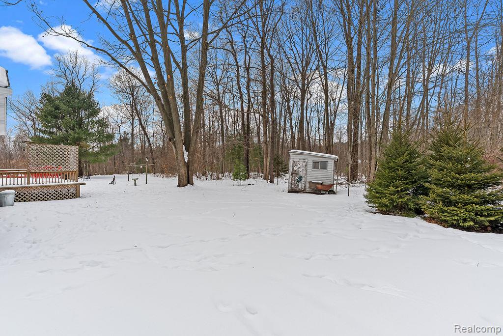 6318 Rynn Road, Clyde, MI 48049 — Photo 36