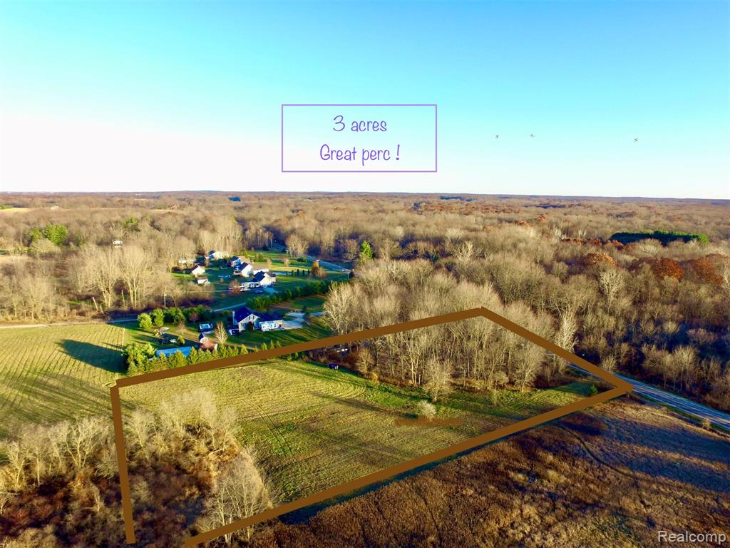 3 Mason Road, Webberville, MI 48892 — Photo 4