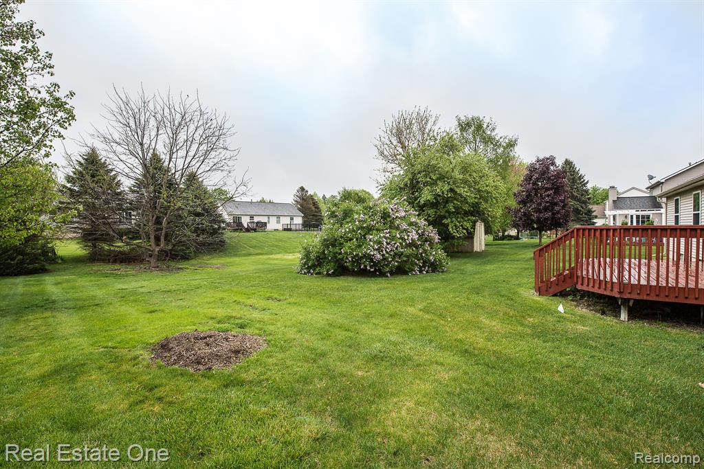 9238 APPLEVIEW, Brighton, MI 48116 — Photo 4