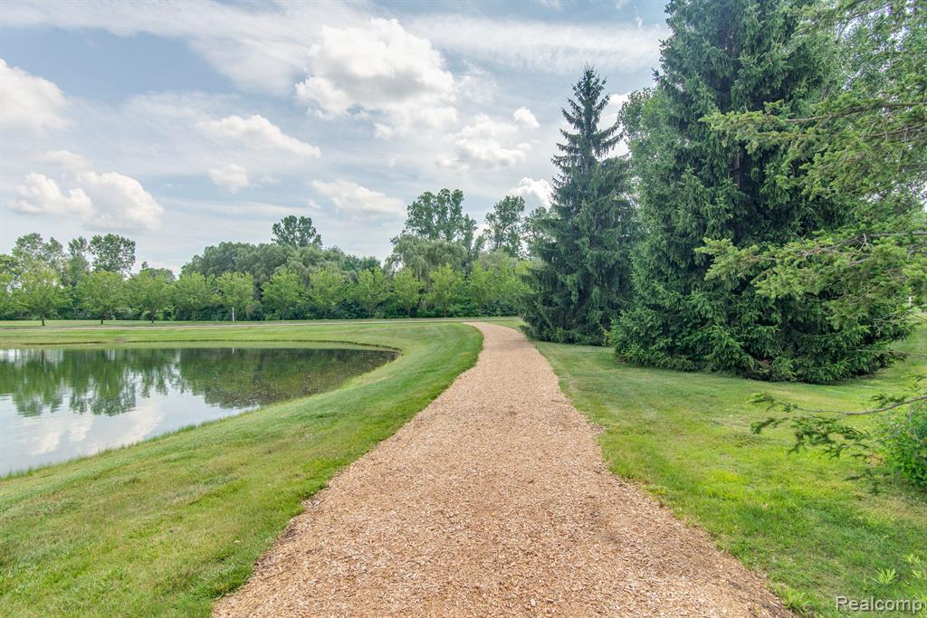 58096 SUNFLOWER Circle S, New Hudson, MI 48165 — Photo 28