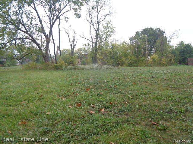 5140 W CHICAGO, Detroit, MI 48204 — Photo 5