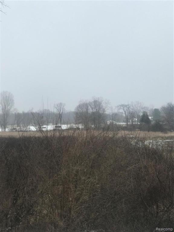 VL Hinchey Road, Pinckney, MI 48169 — Photo 5