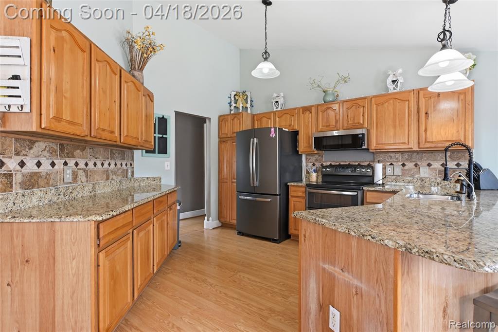503 W Hamburg Street, Pinckney, MI 48169 — Photo 9