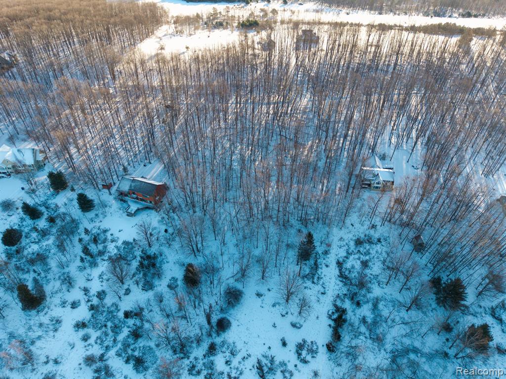 lot 4 BAY RIDGE ESTATES Drive, Ellsworth, MI 49729 — Photo 7