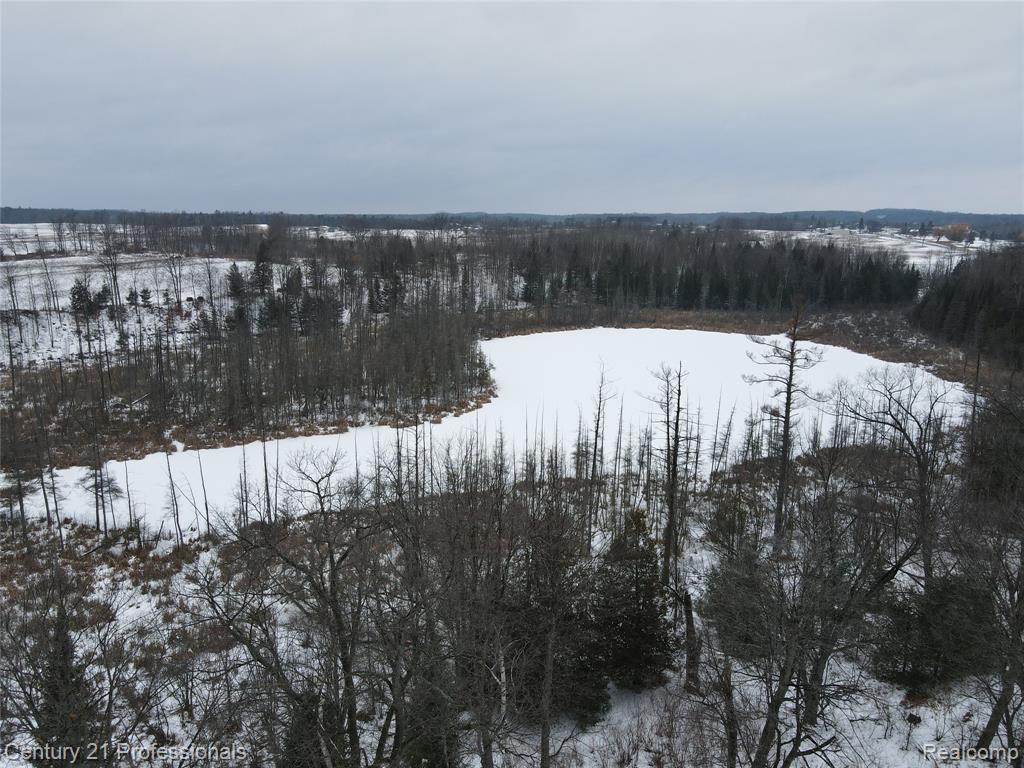 3608 S State, Glennie, MI 48737 — Photo 38