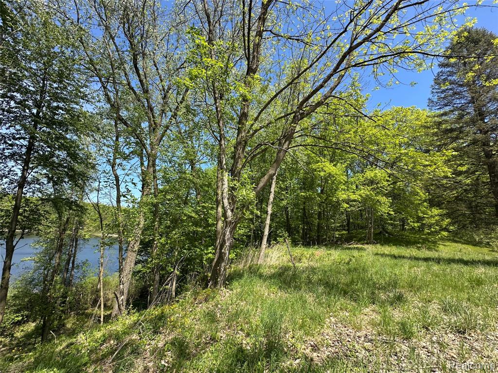 6727 Sherman Street, Otter Lake, MI 48464 — Photo 12