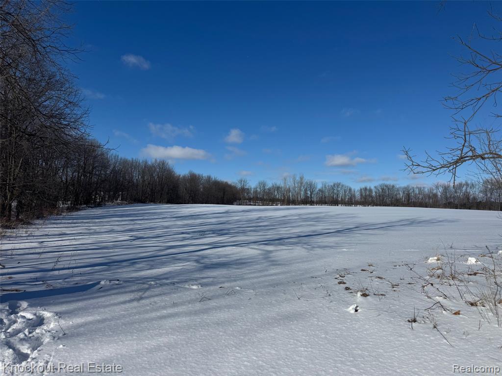 Parcel A Murphy Lake Road, Mayville Vlg, MI 48744 — front exterior