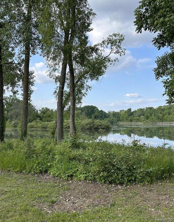 VL Cory Drive, Delton, MI 49046 — Photo 13