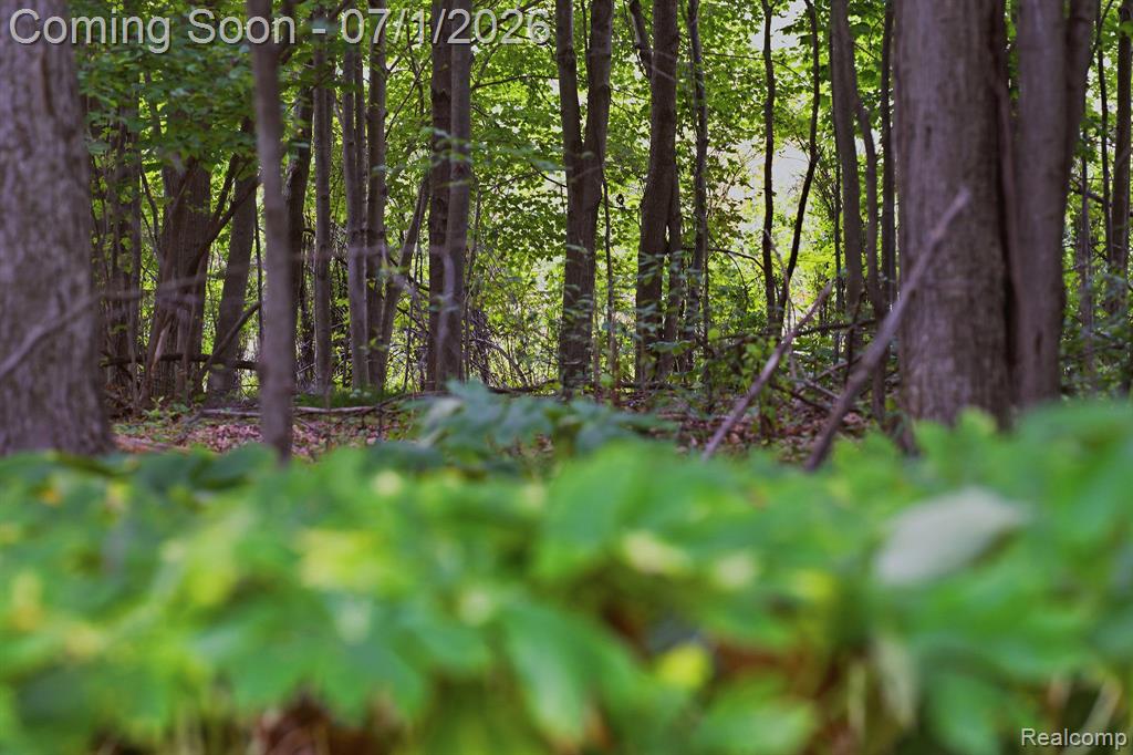 4762 Lonsberry Road, Columbiaville, MI 48421 — Photo 36