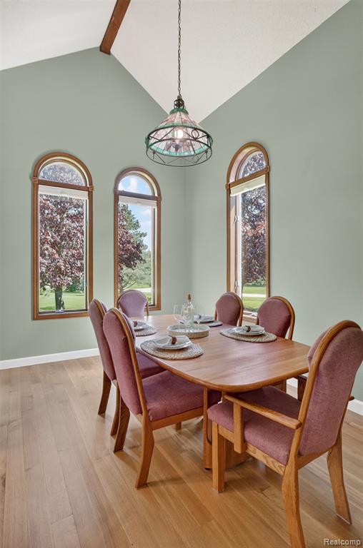 13749 Merrie Meadow Lane, South Lyon, MI 48178 — Photo 16