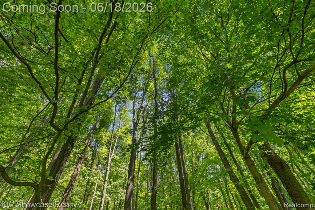 5580 Birch Lane, Davisburg, MI 48350 — Photo 42