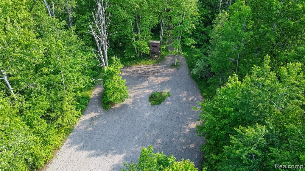3591 Curry Road, Caro, MI 48723 — Photo 24