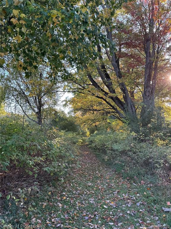 3608 S State, Glennie, MI 48737 — Photo 17
