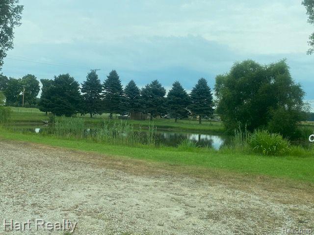 7539 MOWATT Road, North Branch, MI 48461 — Photo 7
