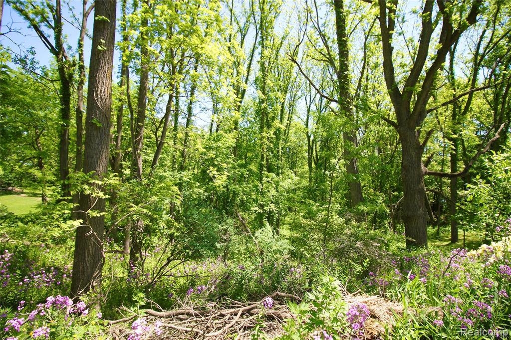 8372 Parshallville Road, Fenton, MI 48430 — Photo 42
