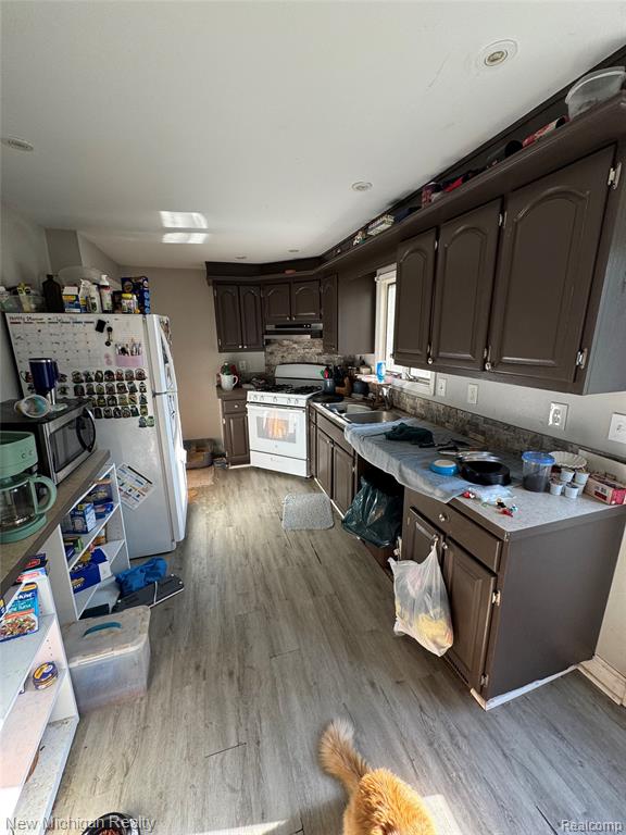 305 E Rolfe, Perry, MI 48872 — Photo 4
