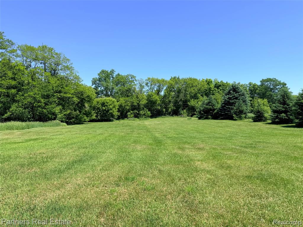 Vacant McKeachie Road, White Lake, MI 48383 — Photo 8