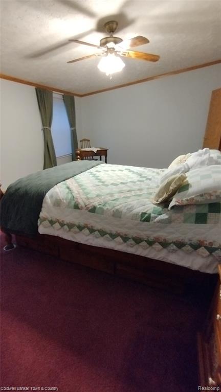 9740 Russell Street, Northville, MI 48167 — Photo 22