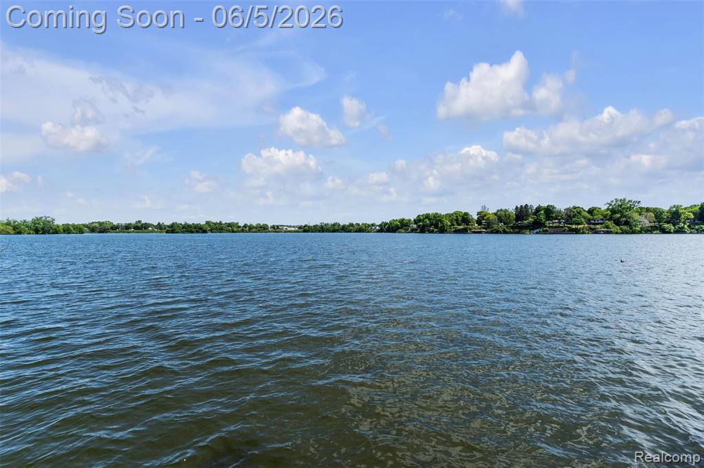 47435 N Shore Drive, Belleville, MI 48111 — Photo 69