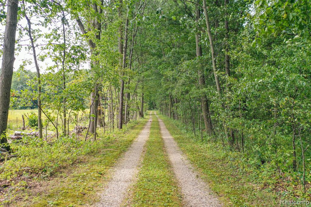 15000 Bishop Road, Byron, MI 48418 — Photo 25