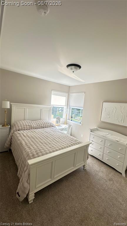 16437 Sleepy Hollow Drive, Fenton, MI 48430 — Photo 19