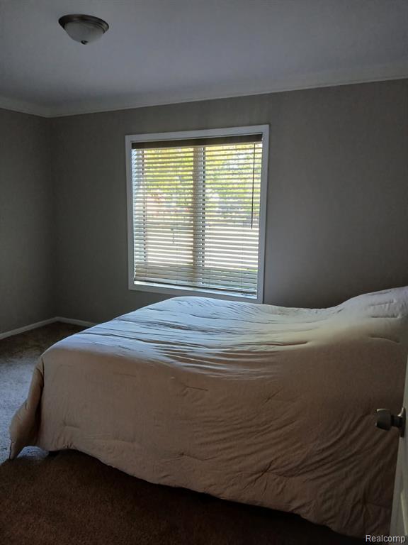 334 W Winds Drive, Almont, MI 48003 — Photo 20
