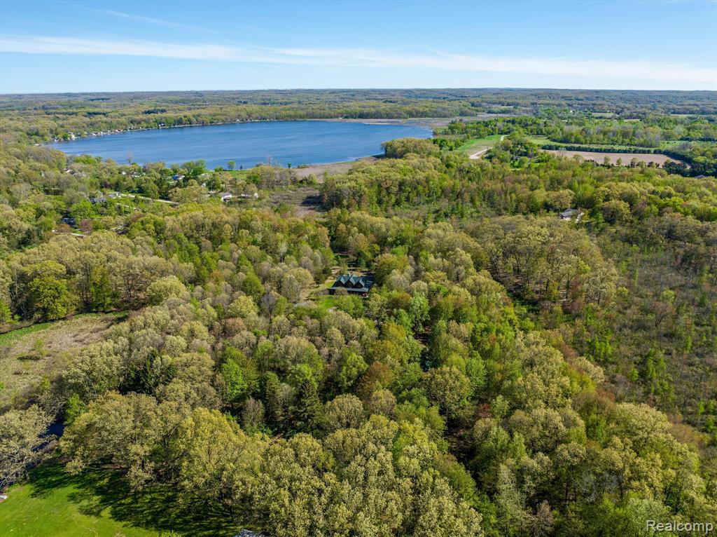 19263 WILLIAMSVILLE Road, Gregory, MI 48137 — Photo 4