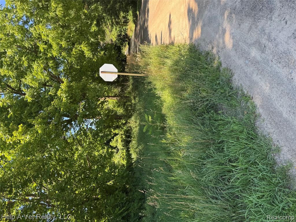 4991 Mayville Road, MI — Photo 6
