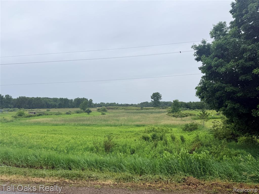761 Millington Road, Mayville Vlg, MI 48744 — Photo 3