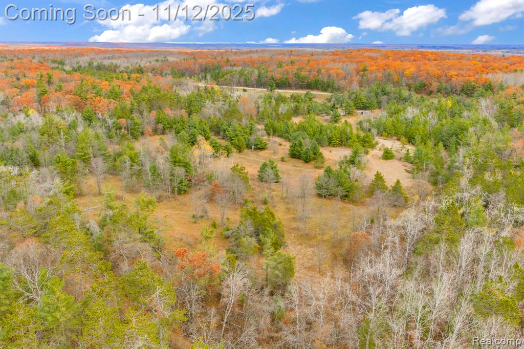 495 N M 65 Highway N, Curran, MI 48728 — Photo 41