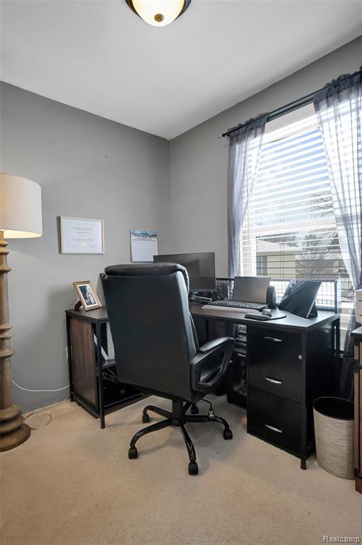 61101 Greenwood Drive, South Lyon, MI 48178 — Photo 19