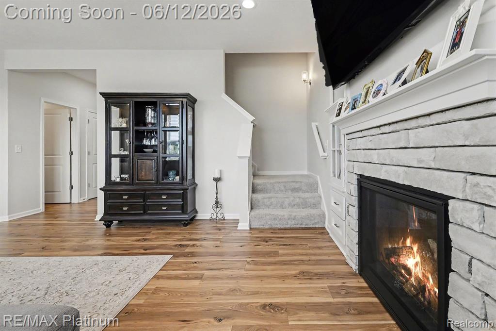 603 LAND BRIDGE, Perry, MI 48872 — Photo 10