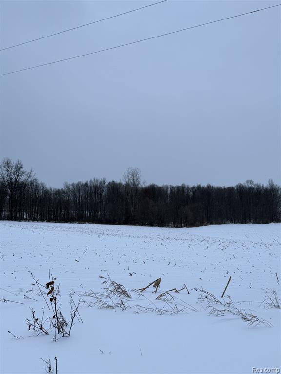 00 Thom Road, Columbiaville, MI 48721