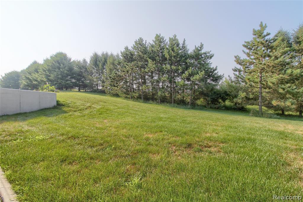 792 Meadows Court, Grass Lake, MI 49240 — Photo 28