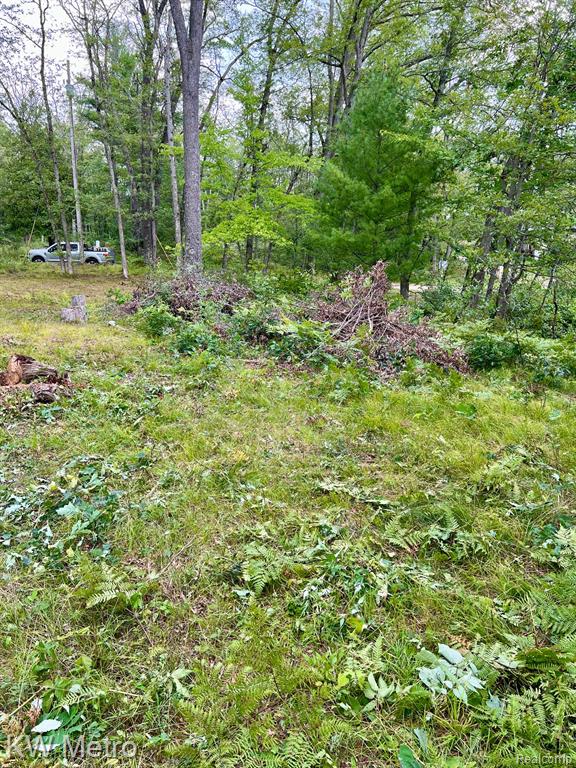 6629 S Tampa, Idlewild, MI 49642 — Photo 8