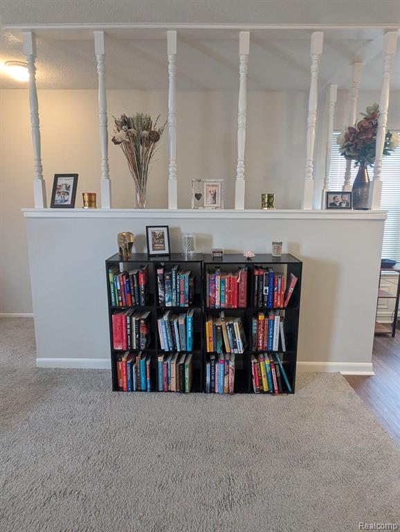 22842 RENFORD Street, Novi, MI — Photo 22