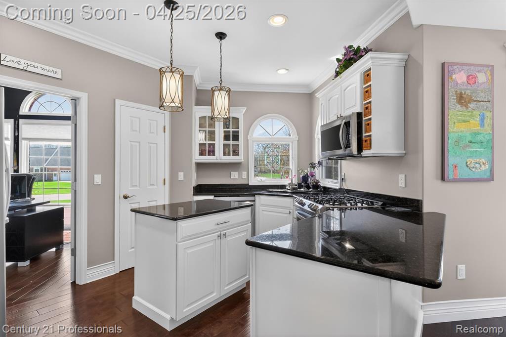 163 W Auburn Trail, Brighton, MI 48114 — Photo 13