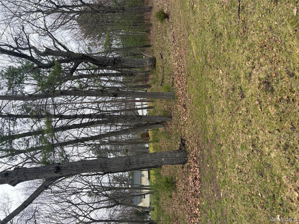 5315 E 8th Street, Au Gres, MI 48703 — Photo 27