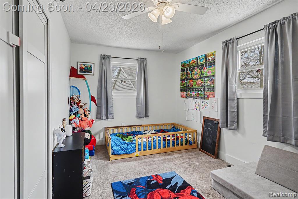 97 W Morgan Street, Sandusky, MI 48471 — Photo 20