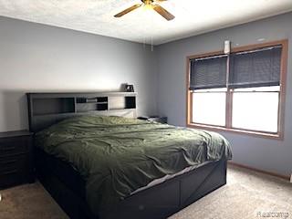 283 E Millington Road, Mayville Vlg, MI 48744 — Photo 10