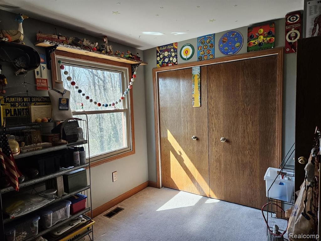 4390 LILY Drive, Howell, MI 48843 — Photo 36