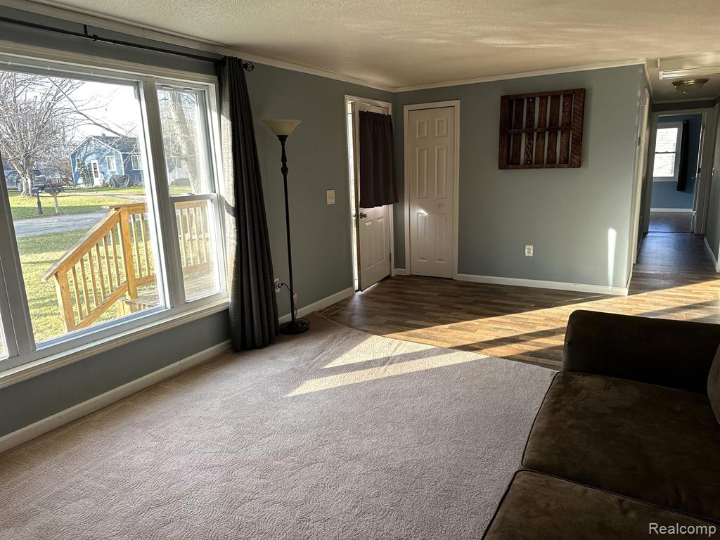 6231 2ND Street, Mayville Vlg, MI 48744 — Photo 8